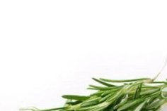 Troubles de la mémoire&nbsp;: un fléau mondial largement sous-estimé