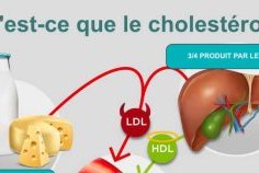Cholestérol&nbsp;: un ennemi silencieux au cœur des maladies cardiovasculaires