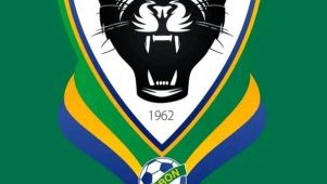 Football/ Panthères&nbsp;: le nom du nouveau sélectionneur attendu le 28 février