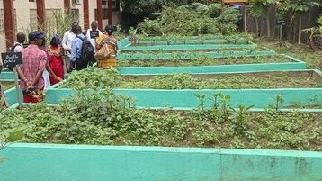 École Verte : des jardins pédagogiques pour éveiller les vocations agricoles dès le primaire