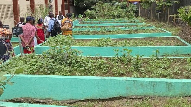 École Verte : des jardins pédagogiques pour éveiller les vocations agricoles dès le primaire