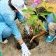 Cap Estérias / Obagna&nbsp;: le Rotary Club de Libreville Bantou mobilisé pour la sauvegarde de la mangrove&nbsp;