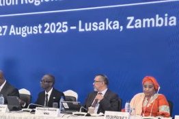 Paludisme :  les ministres africains appellent à une mobilisation urgente 