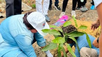 Cap Estérias / Obagna&nbsp;: le Rotary Club de Libreville Bantou mobilisé pour la sauvegarde de la mangrove&nbsp;