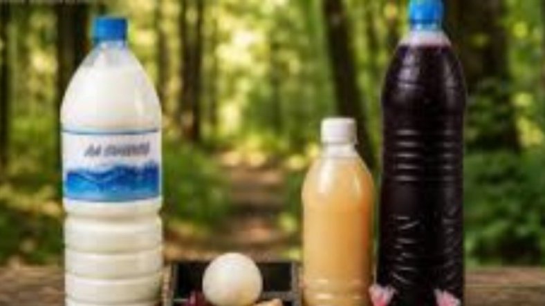 Sécurité Alimentaire&nbsp;: lait caillé, bissap ,  glaces en sachet, gingembre interdits au Gabon
