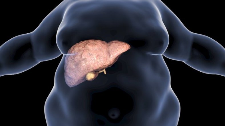 Foie Gras&nbsp;: les signes à ne pas ignorer 