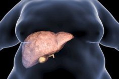 Foie Gras&nbsp;: les signes à ne pas ignorer 