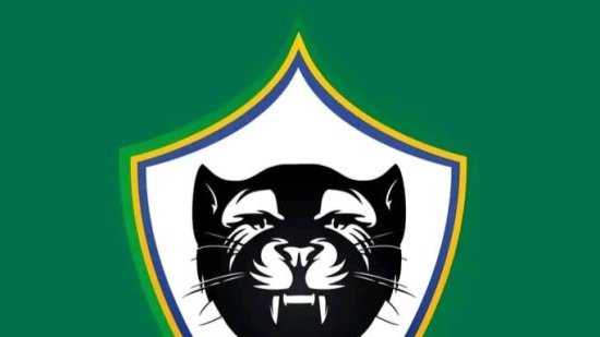 Football/ Panthères&nbsp;: le nom du nouveau sélectionneur attendu le 28 février