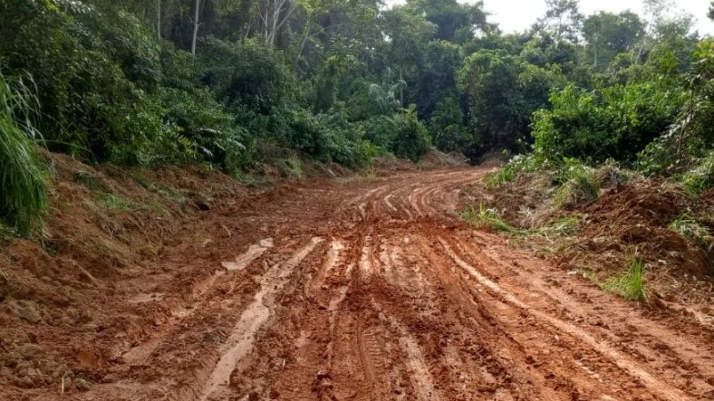 Ogooué-Ivindo&nbsp;: le calvaire des usagers sur l’axe Makokou–Mekambo–Ekata