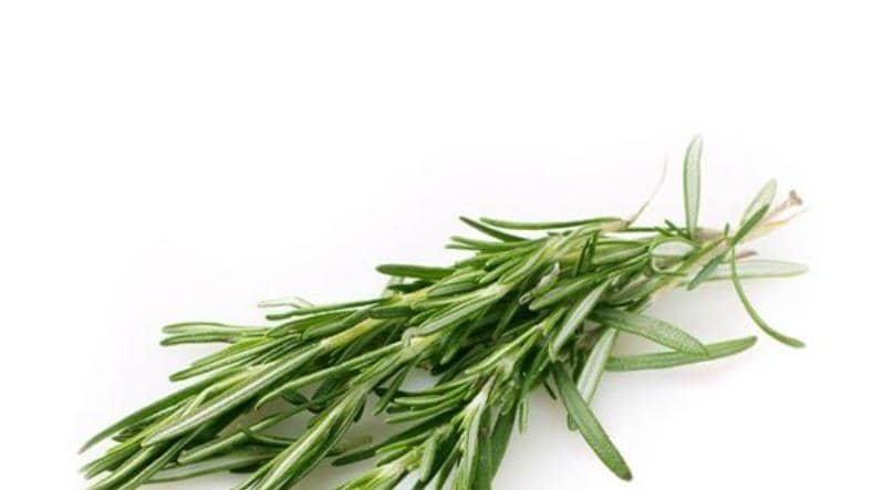 Troubles de la mémoire&nbsp;: un fléau mondial largement sous-estimé