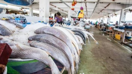 Pêche&nbsp;: Libreville réclame un partenariat plus équitable avec l’Union européenne
