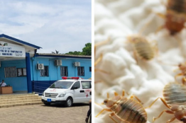 Brève / Santé/ Présence de punaises&nbsp;: l’hôpital de Beau-Séjour suspend ses activités pour 48 heures