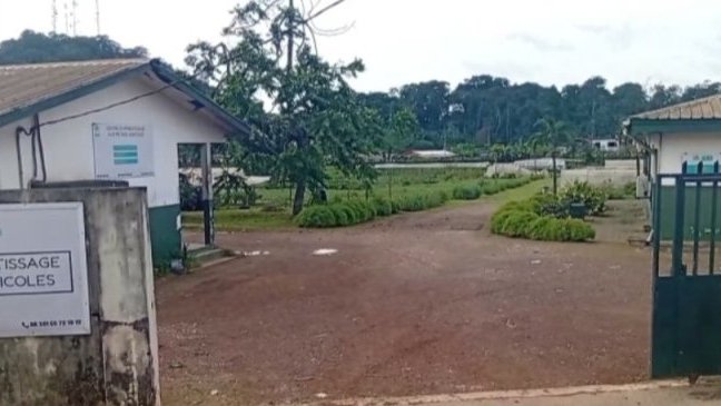 Agriculture/ IGAD&nbsp;: une réforme stratégique portée par la nouvelle gouvernance