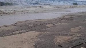 Alerte à Mayumba&nbsp;: la pollution refait surface sur les plages