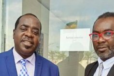 Droits d’auteur et lois en attente&nbsp;: la COGAC saisit le Sénat