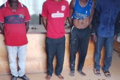 Makokou&nbsp;: quatre trafiquants arrêtés avec 14 défenses d’éléphants