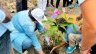 Cap Estérias / Obagna&nbsp;: le Rotary Club de Libreville Bantou mobilisé pour la sauvegarde de la mangrove&nbsp;