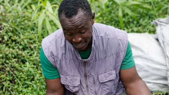 Bénin / Faits-divers&nbsp;: l’interception de 117 pythons royaux met en lumière le trafic d’espèces protégées