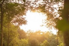 Croissance et écologie : le Gabon mise sur un avenir durable