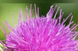 Les dangers de l’alcool et des drogues&nbsp;: un enjeu de santé publique