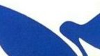 Ex-agents de Gabon Poste liquidée en 2006 : vingt ans d’attente, vingt ans de souffrances