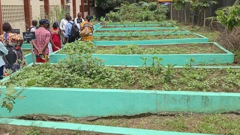 École Verte : des jardins pédagogiques pour éveiller les vocations agricoles dès le primaire