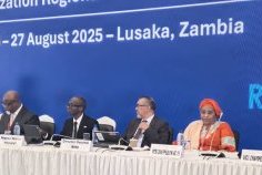 Paludisme : les ministres africains appellent à une mobilisation urgente
