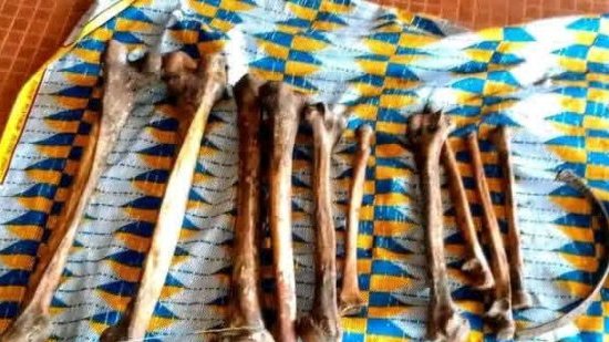 Profanation de tombes et trafic de restes humains&nbsp;: une affaire macabre relance les inquiétudes au Gabon