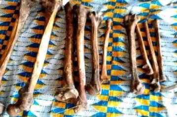 Profanation de tombes et trafic de restes humains&nbsp;: une affaire macabre relance les inquiétudes au Gabon