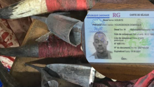 Fétiches interdits saisis sur un passager béninois à Libreville&nbsp;: la polémique relancée 