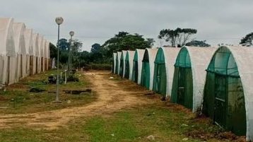 SAEG-AGROPAG&nbsp;: 826 millions de FCFA d’impayés, la terre attend, les salaires aussi