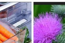 Prévention des cancers&nbsp;: phytothérapie et hygiène de vie au cœur des conférences Octobre Rose et Novembre Bleu