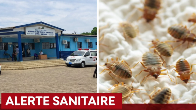 Brève / Santé/ Présence de punaises&nbsp;: l’hôpital de Beau-Séjour suspend ses activités pour 48 heures