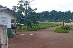 Agriculture/ IGAD&nbsp;: une réforme stratégique portée par la nouvelle gouvernance