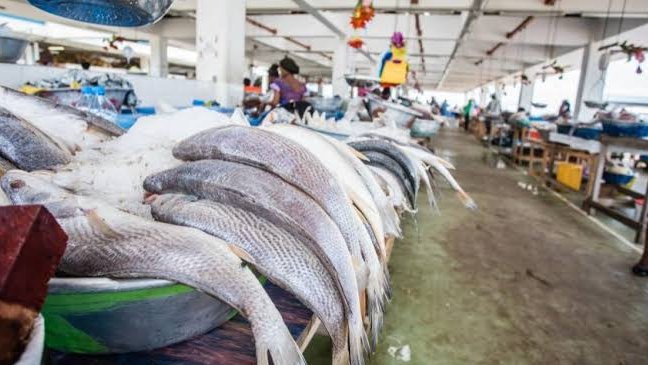Pêche&nbsp;: Libreville réclame un partenariat plus équitable avec l’Union européenne