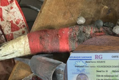 Fétiches interdits saisis sur un passager béninois à Libreville : la polémique relancée 