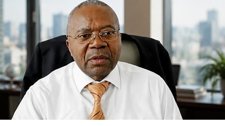 Gabon / 1 700 milliards, presque discrètement&nbsp;: Il y a des chiffres qui devraient faire du bruit 