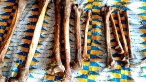 Profanation de tombes et trafic de restes humains&nbsp;: une affaire macabre relance les inquiétudes au Gabon